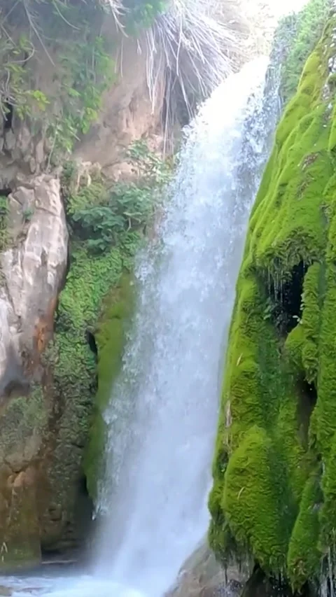 Beautiful waterfall cascading down mossy rocks. Vídeos de archivo 335705925