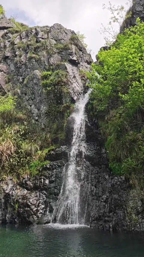 A beautiful waterfall cascading down a rocky cliff into a clear pool in a lush Vídeos de archivo 334163156