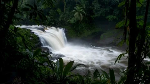 Beautiful waterfall cascading through lush tropical rainforest setting a dy.. Stock-Footage 321948068