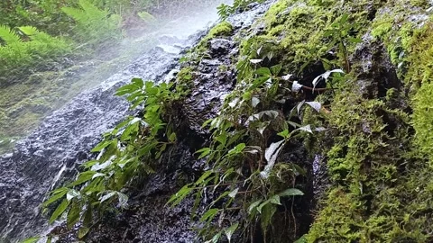 Beautiful Waterfall in Dense Forest with Water Mist Close Up View Stock Footage 345050207