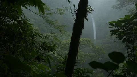 Beautiful Waterfall in Distance Through Trees of Tropical Jungle 스톡 동영상 101490694