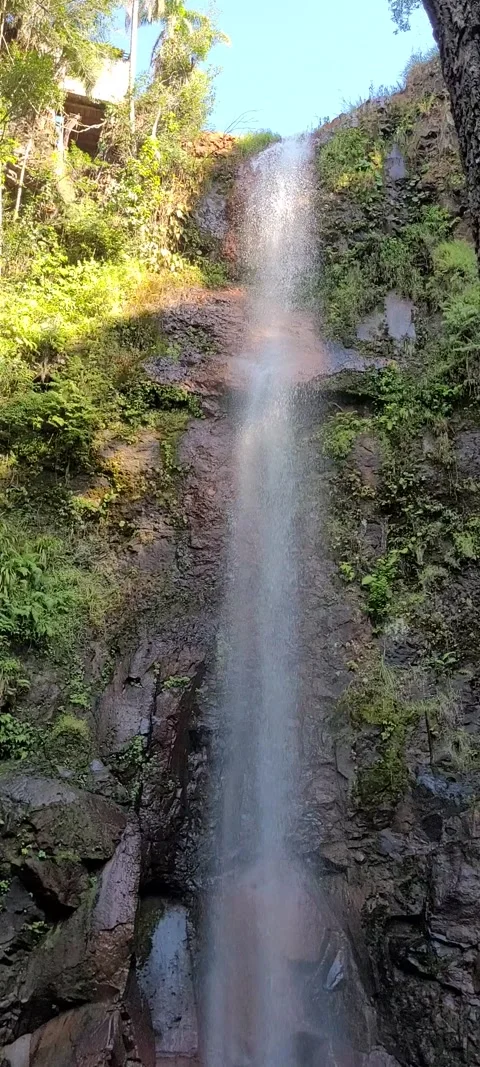 Beautiful waterfall fall in the interior of Brazil Stock Footage 201531574