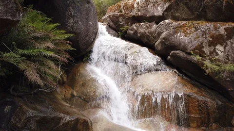 A beautiful waterfall flowing down a rock face into a pool surround by trees. Stock Footage 101769091