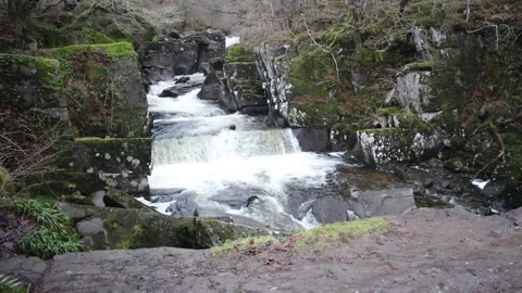 Beautiful Waterfall Flowing Stockbeeldmateriaal 229984432