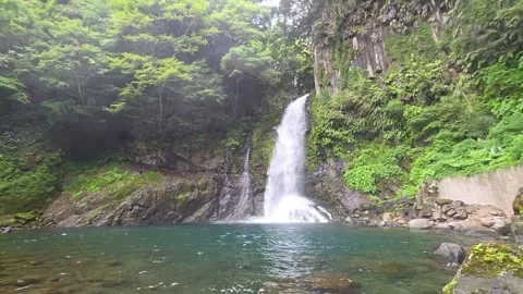 Beautiful Waterfall Flowing Into Turquoise Pool in Lush Green Forest Видео 344612973