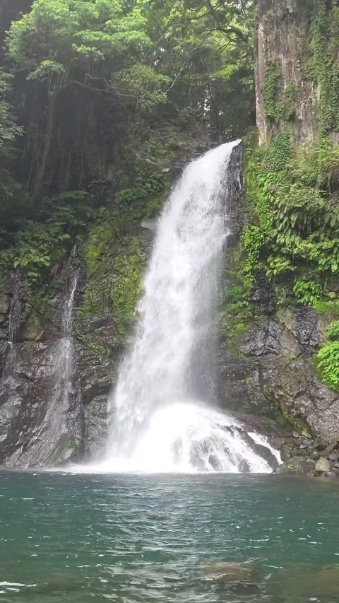 Beautiful Waterfall Flowing Into Turquoise Pool in Lush Green Forest Видео 344612974
