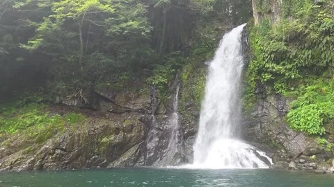 Beautiful Waterfall Flowing Into Turquoise Pool in Lush Green Forest Видео 344612976