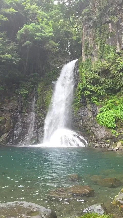Beautiful Waterfall Flowing Into Turquoise Pool in Lush Green Forest Видео 344612977