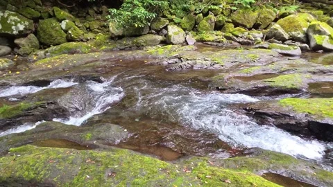 Beautiful Waterfall Flowing Into Turquoise Pool in Lush Green Forest Видео 344612978