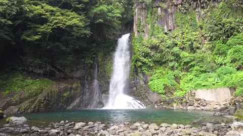 Beautiful Waterfall Flowing Into Turquoise Pool in Lush Green Forest Видео 344612979
