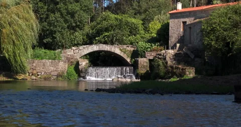Beautiful waterfall flowing under old stone bridge by willow tree Stock Footage 157869375