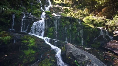 A beautiful waterfall flows from the mountain Video stock 221872616