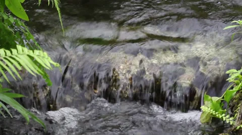 Beautiful waterfall Video stock 35225425