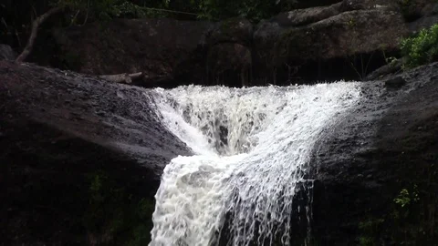 Beautiful waterfall Stock Footage 81533514