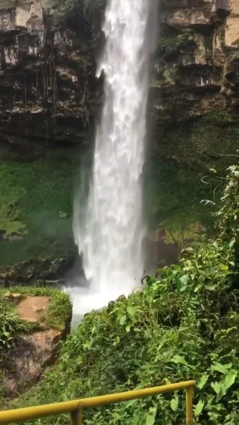 Beautiful waterfall Video stock 197738451