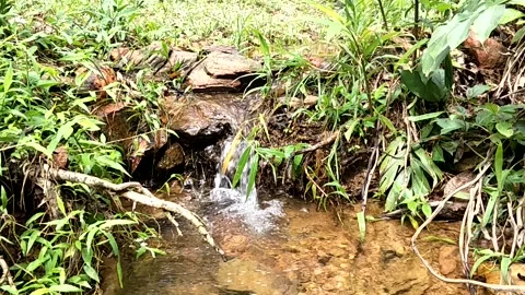A beautiful waterfall. Stock Footage 225370347