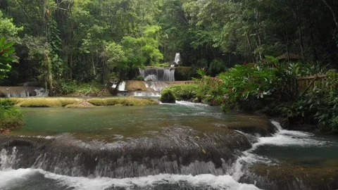 Beautiful waterfall 動画素材 229744903