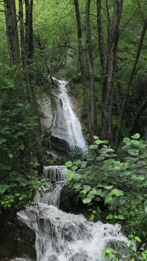 Beautiful waterfall  Stock Footage 247760611