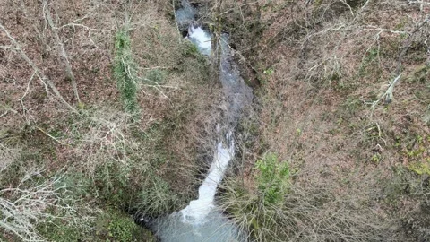 Beautiful waterfall Video stock 263770389