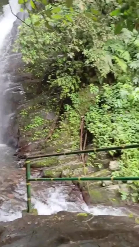 Beautiful waterfall Stock Footage 308213604