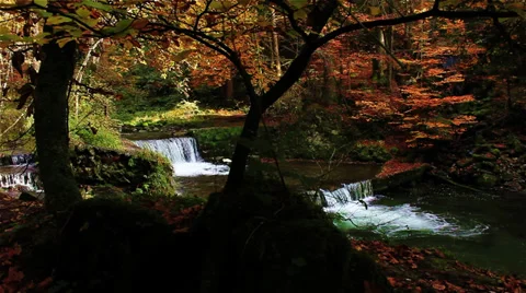 Beautiful Waterfall in Forest 库存影片 29665315