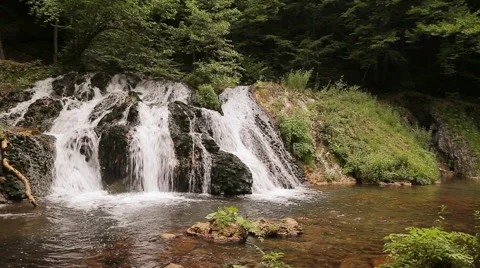 Beautiful waterfall in the forest 스톡 동영상 52229076
