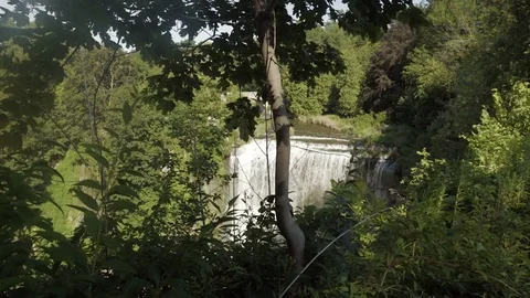 Beautiful waterfall in the forest Stock Footage 78950733