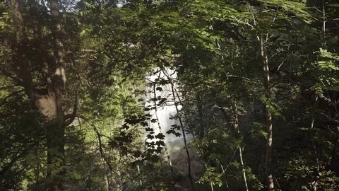 Beautiful waterfall in the forest Stock Footage 78951085