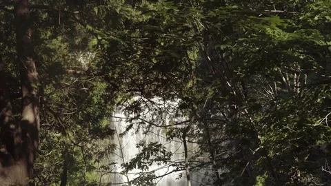 Beautiful waterfall in the forest Stock Footage 78951429