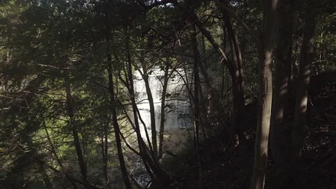 Beautiful waterfall in the forest Stock Footage 78951705