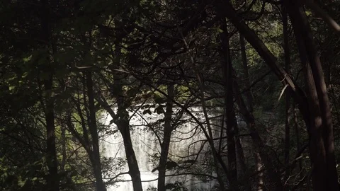 Beautiful waterfall in the forest Stock Footage 78951998