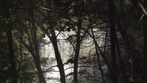 Beautiful waterfall in the forest Stock Footage 78952534