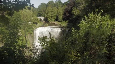 Beautiful waterfall in the forest Stock Footage 78953193
