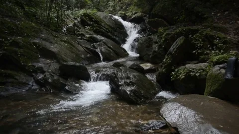 Beautiful Waterfall In Forest Видео 81498506