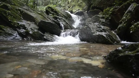 Beautiful Waterfall In Forest Stock Footage 81498540