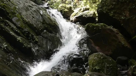 Beautiful Waterfall In Forest Видео 81498560