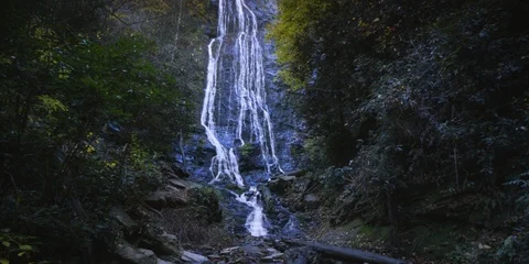 Beautiful waterfall in the forest Stock Footage 103817953