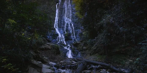 Beautiful waterfall in the forest Stock Footage 103818023