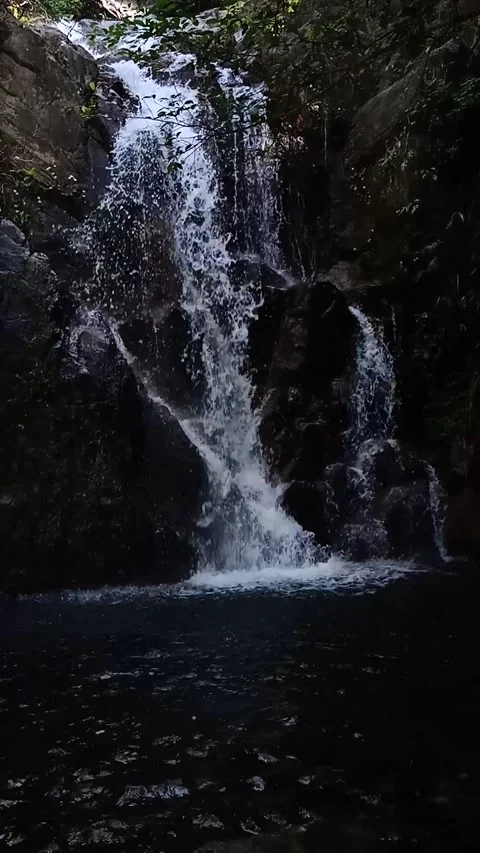 Beautiful waterfall in the forest Stock Footage 138299191