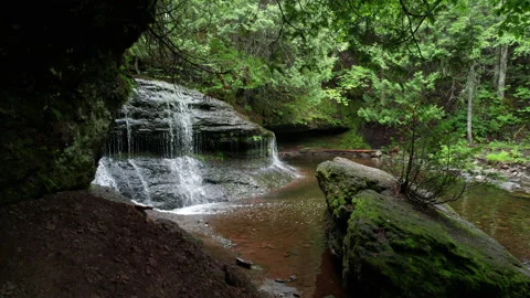 Beautiful Waterfall in the Forest Video stock 158572910