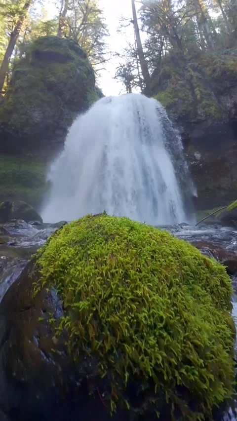 Beautiful waterfall in the forest Stock Footage 273975452