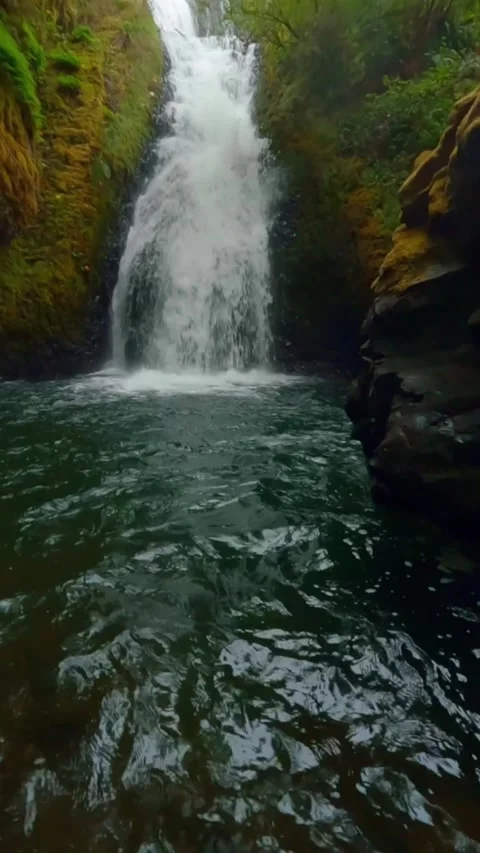 Beautiful waterfall in the forest Stock Footage 273976374