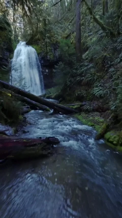 Beautiful waterfall in the forest Stock Footage 273978289