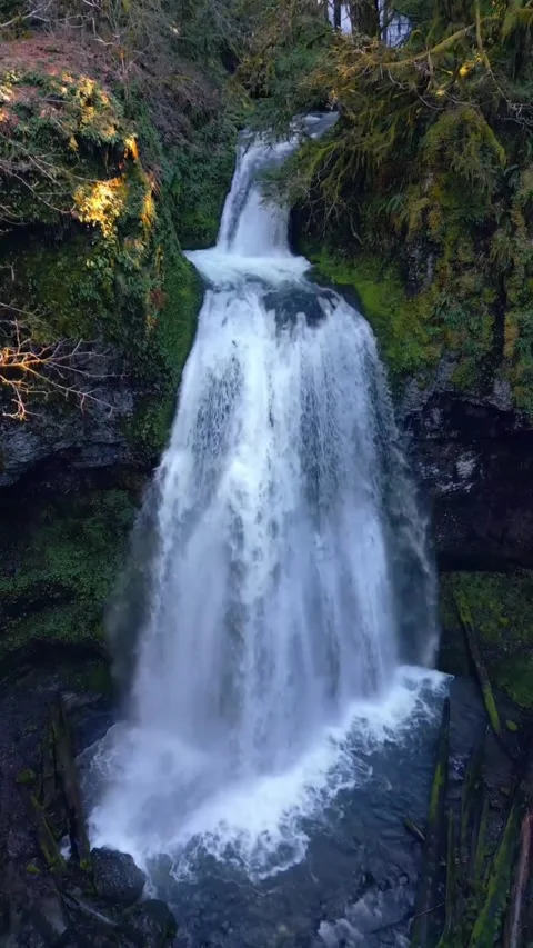 Beautiful waterfall in the forest Stock Footage 273981749