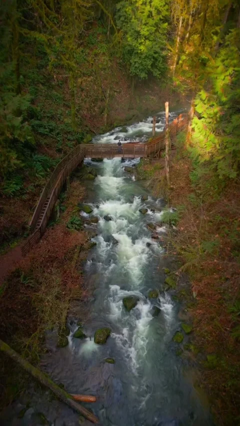 Beautiful waterfall in the forest Stock Footage 273994746