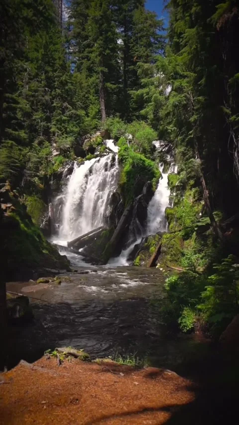 Beautiful waterfall in the forest Stock Footage 274040341