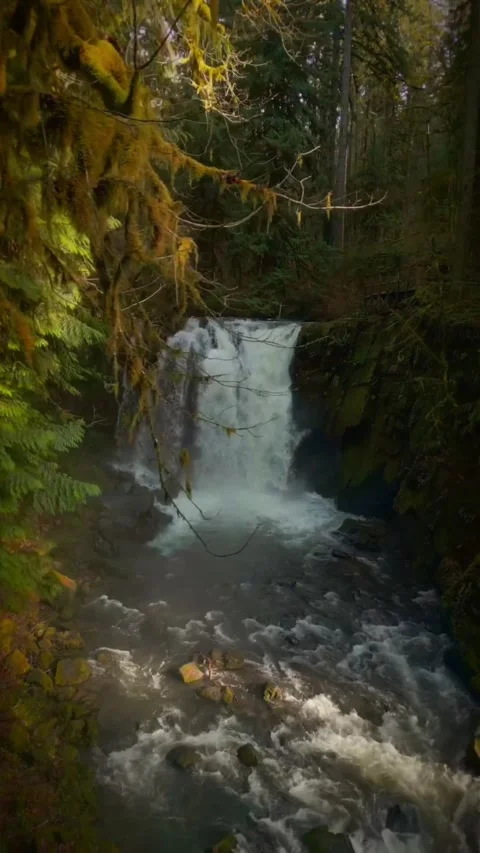 Beautiful waterfall in the forest Video stock 274040732