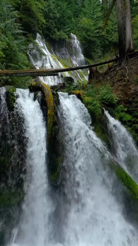 Beautiful waterfall in the forest Stock Footage 274040845