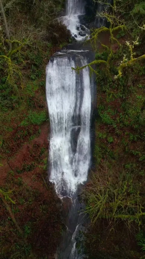 Beautiful waterfall in the forest Stock Footage 274111109