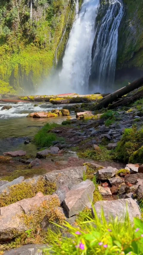 Beautiful waterfall in the forest Stock Footage 274277372